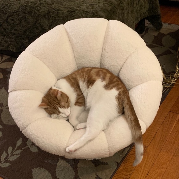 Meet Your Posher, Danny - Picture 8 of 9